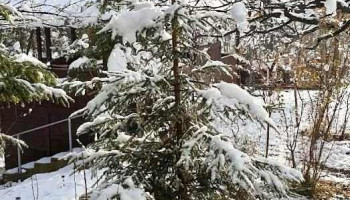 Ghioșești - Ghioșești