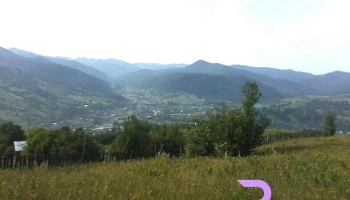 Găinești - Găinești
