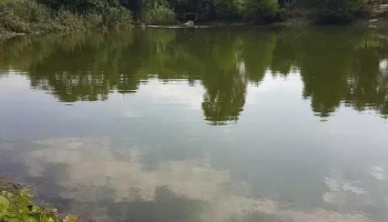 Găneasa - Găneasa