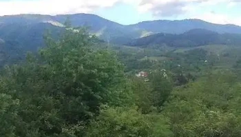 Găujani - Găujani