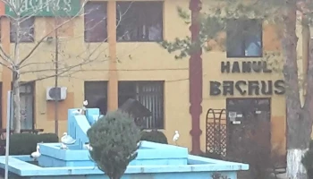 Hanul Bachus - Popești