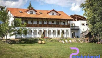 Hanul Vatra - Costești