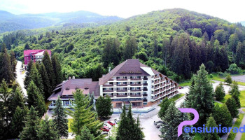 Hotel Bradul - Covasna