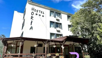 Hotel Horia - Plopeni