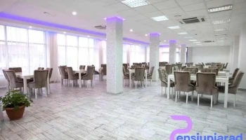 Hotel Magnific - Borș