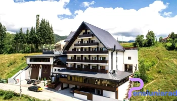 Hotel Roman - Borșa