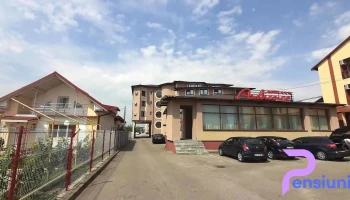 Hotel Vulturul Pitești - Geamăna