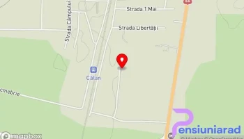 Iarina's Place - Călan 335300