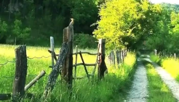 Iscroni - Iscroni