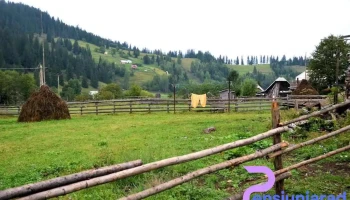 Izvoarele Sucevei - Izvoarele Sucevei