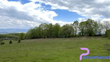 Lazuri de Beiuș - Lazuri De Beiuș