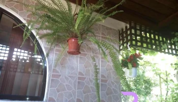 Liliești - Băicoi