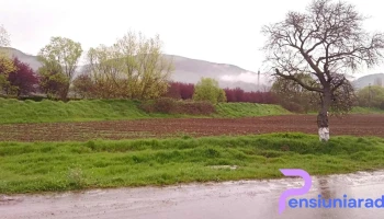 Lăpugiu de Jos - Lăpugiu De Jos