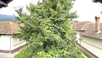 MansarDa - Lerești 117430