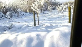 Meseșenii de Sus - Meseșenii De Sus