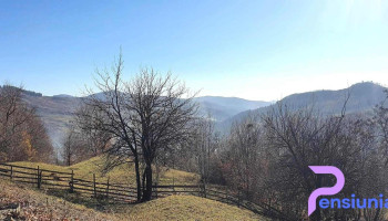 Mireșu Mare - Mireșu Mare