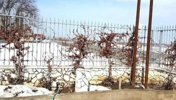 Mitreni - Mitreni