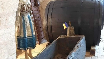 Muzeul Conacului 