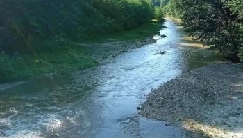 Mălureni - Mălureni