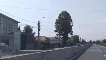 Mărăcineni - Mărăcineni