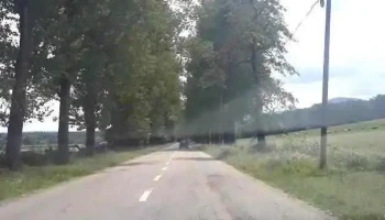 Nemțișor - Nemțișor