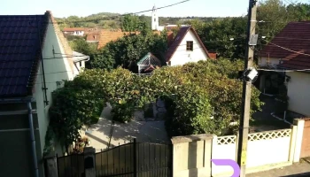 OlimpTom - Aleșd