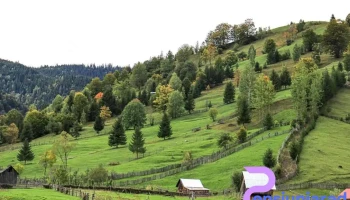 Oraş Broşteni - Romania