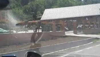 Orășa - Orășa