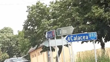 Orțișoara - Orțișoara