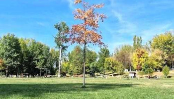 Parcul Bragadiru - Bragadiru