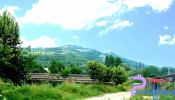 Parohia Ortodoxă Salva - Salva
