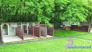 Pensiune canină Aryss - Boz 337107