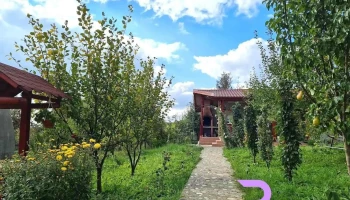 Pensiunea Agroturistica Ioana - Brăduleț