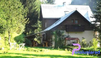 Pensiunea Aurora - Albac