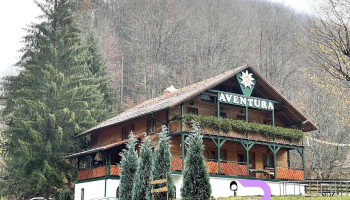Pensiunea Aventura - Borlova