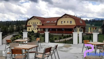Pensiunea Baciu - Strada Vilelor