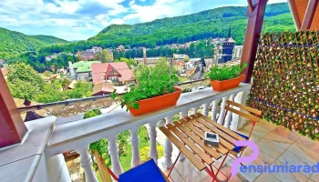 Pensiunea Casa Giulia Olăneşti - Băile Olănești