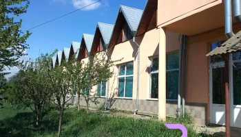 Pensiunea Cerbu Arini - Lancrăm