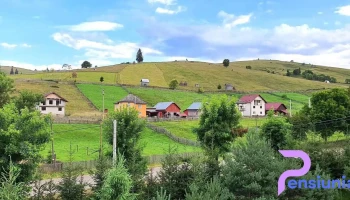 Pensiunea Delia - Vatra Moldoviței