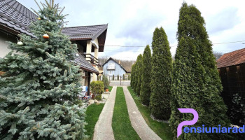 Pensiunea Dor de Vis - Hațeg 335500
