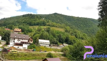 Pensiunea Felyviss - Albac
