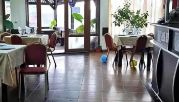 Pensiunea Hanul Mărului - Oncești