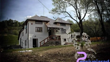 Pensiunea Nițuca - Moisei