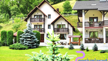 Pensiunea Poienita Apusenilor Albac - Albac