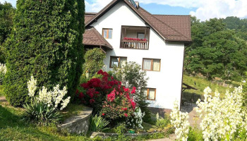 Pensiunea Roata Norocului - Rucăr 117630