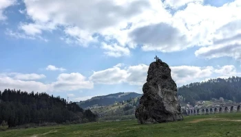 Pensiunea Teiul - Poiana Largului