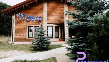Pensiunea Villa Diva - Budureasa