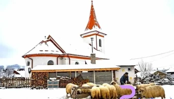 Petrila - Petrila