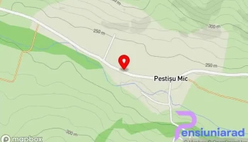 Peștișu Mic - Peștișu Mic