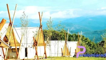 Piniale Glamping Trib - Bughea De Jos